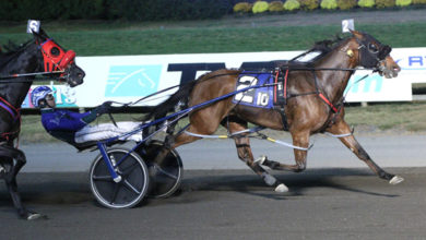 彩的表现或 彩的表现或